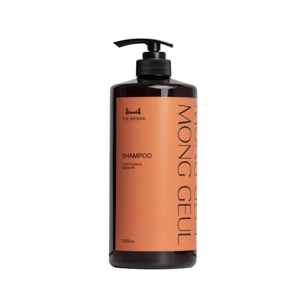 TTHE BRIDGE PROFESSIONAL Monggeul LPP Treatment 1000ml